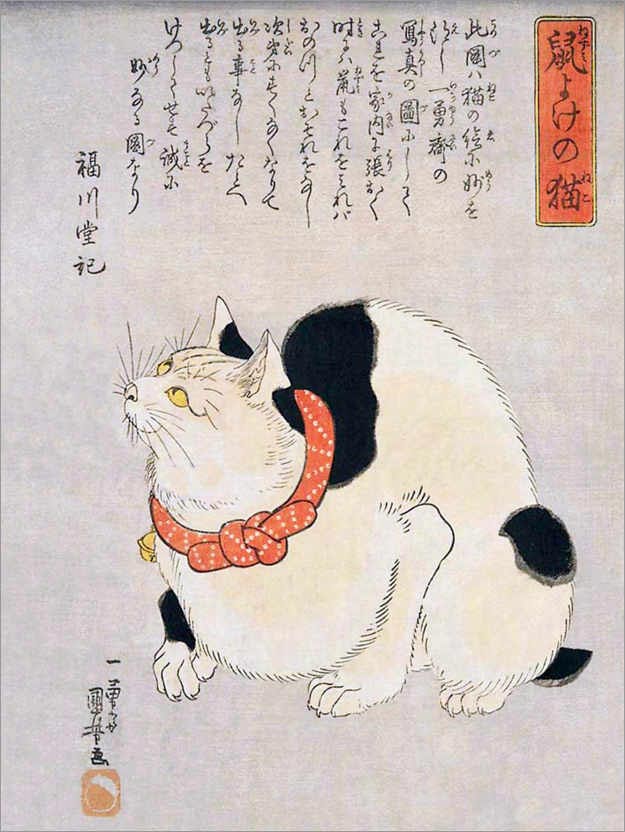 Maneki-Neko representa gatos Calicó